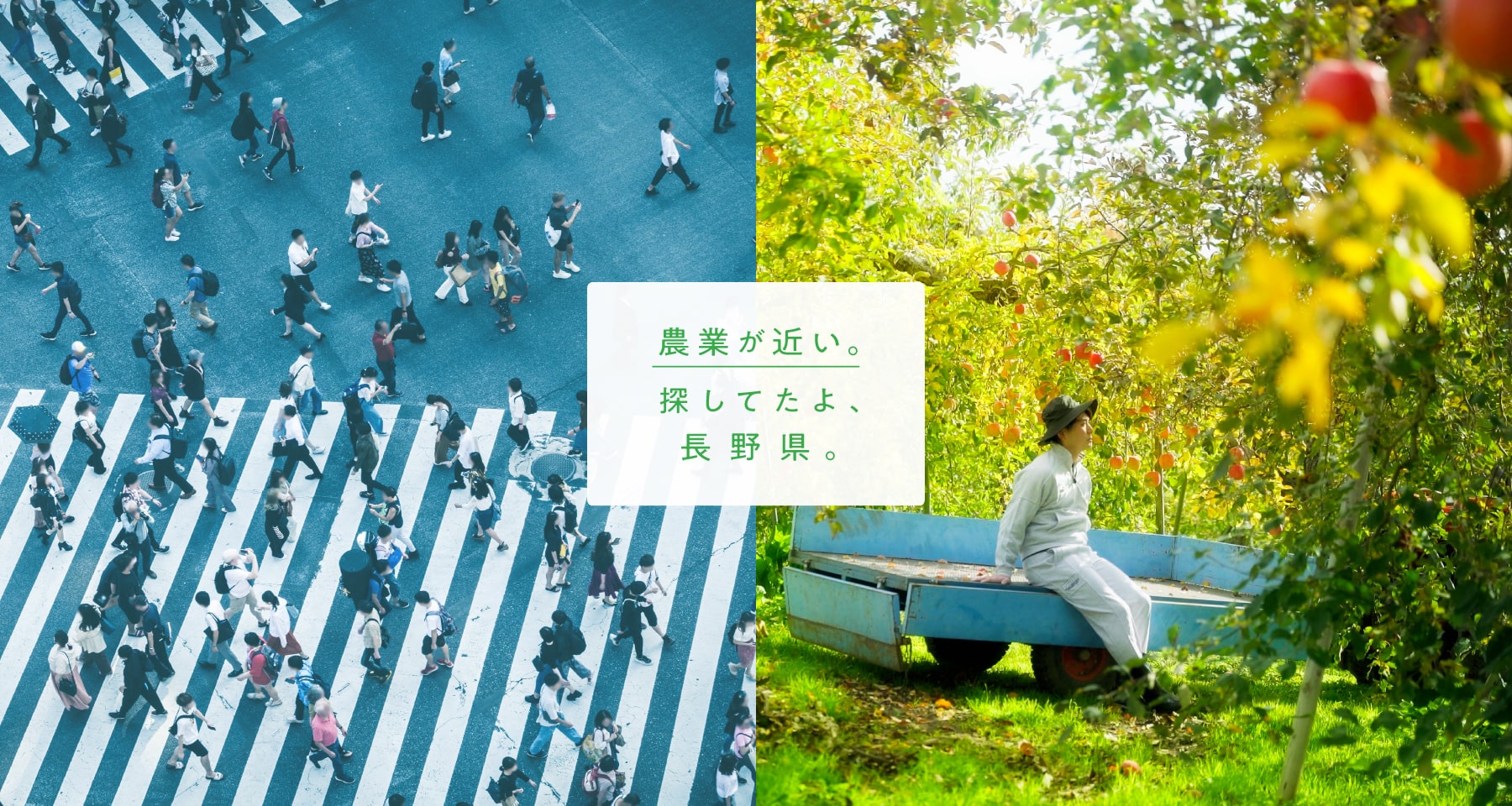 長野県農政部農村振興課 様